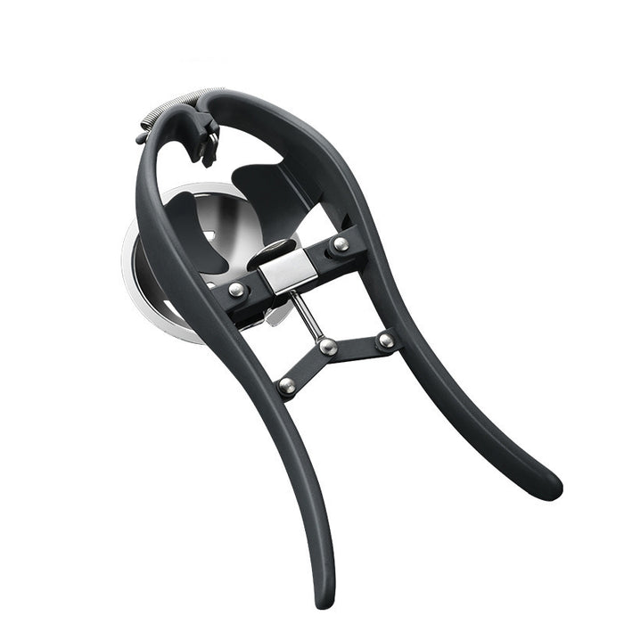 Stanless Steel Egg Tools